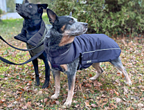 Petlando Winter Coat for Dogs Lovund Navy
