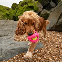 Frubba Hondenspeelgoed Cross Ball Roze 11 cm