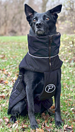 Petlando Winter Coat for Dogs Lovund Black