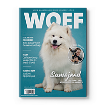 WOEF Magazine - Samojeed Oktober 2025