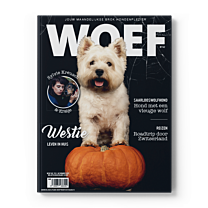 WOEF Magazine - Westie November 2025