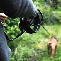 Great&Small Active Lange Hondenriem 10 m