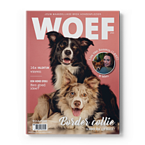 WOEF Magazine - Border collie Februari 2026