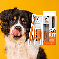Dogslife Kit Hondentanden