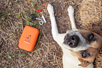 Dogslife EHBO-kit Hond