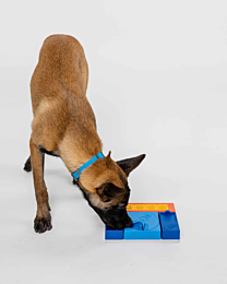 Pawzler Hondenpuzzel Denkspel Beginner Set 24 cm