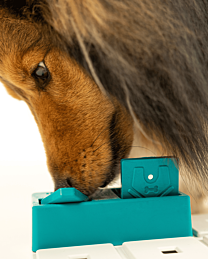 Pawzler Hondenpuzzel Nai Pawzle Blauw 2 stuks 12 cm