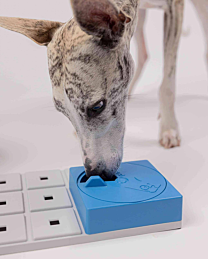 Pawzler Hondenpuzzel Oli Pawzle Blauw 1 stuk 12 cm