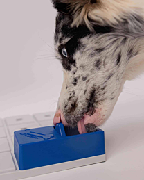 Pawzler Hondenppuzzel Onix Pawzle Blauw 2 stuks 12 cm