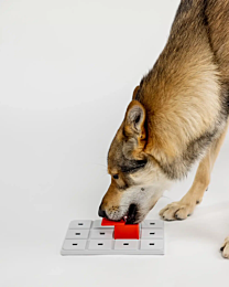 Pawzler Hondenpuzzel Peach Pawzle Rood 4 stuks 6 cm