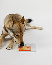 Pawzler Hondenpuzzel Terra Pawzle Oranje 1 stuk  12 cm