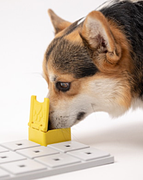 Pawzler Hondenpuzzel Zoey Pawzle Geel 4 stuks 6 cm