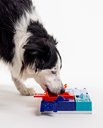 Pawzler Hondenpuzzel Genius Set 24 cm
