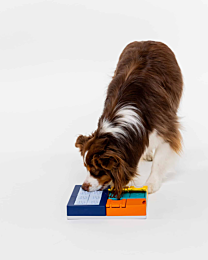 Pawzler Hondenpuzzel Smarty Set 24 cm