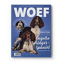 WOEF Magazine - Engelse Springer-Spaniël Maart 2026