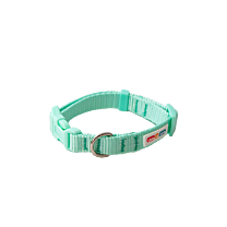 Great&Small Little&Lively Puppy Collar Light Blue