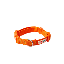 Great&Small Little&Lively Puppy Collar Orange