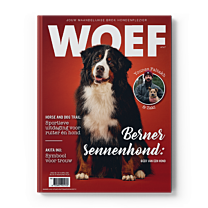 WOEF Magazine - Berner Sennenhond April 2026