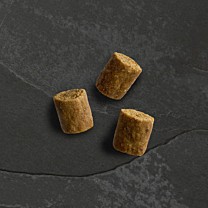 Canagan Dog Treat Wild Bites Chicken & Pork 60 g