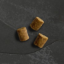 Canagan Hondensnack Wild Bites Kip 60 g