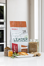 Leader Dry Dog Food Puppy Medium Breed Chicken