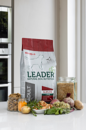 Leader Dry Dog Food Slimline Adult Large Breed Turkey