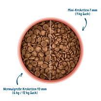 WOW Dry Dog Food Junior Poultry