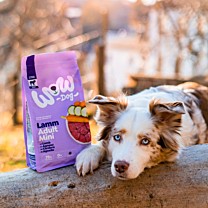 WOW Dry Dog Food Adult Mini Lamb 1 kg