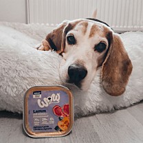 WOW Wet Dog Food Adult Lamb 150 g