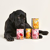 WOW Wet Dog Food Junior Chicken 150 g