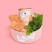 WOW Wet Dog Food Adult Salmon