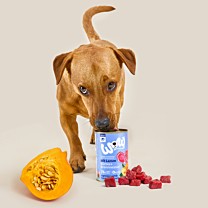 WOW Wet Dog Food Adult Lamb