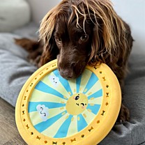 Great&Small Hondenspeelgoed Summer Sizzlers Frisbee 12 cm