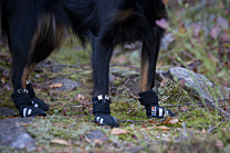 RukkaPets Hondenschoenen Zwart maat 3