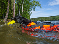 RukkaPets Safety Zwemvest voor Honden S
