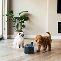 District 70 Pet Fountain Wireless Flow 2,2 l Black