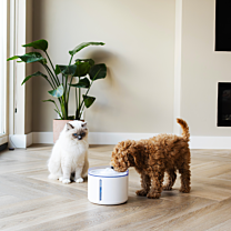 District 70 Pet Fountain Wireless Flow 2,2 l White