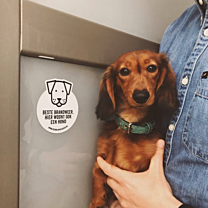 Red Mijn Huisdier Sticker 1 Dog NL