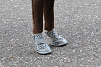 RukkaPets Dog Shoes Summer Size 1