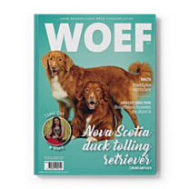 WOEF Magazine - Nova Scotia Duck Tolling Retreiver Augustus 2026 NL