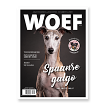 WOEF Magazine - Spaanse galgo Mei 2020