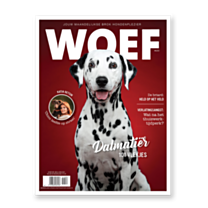 WOEF Magazine - Dalmatiër Juni 2021 NL