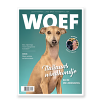 WOEF Magazine - Italiaans windhondje Juli 2021 NL