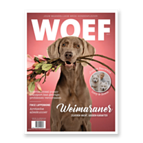 WOEF Magazine - Weimaraner Februari 2024 NL