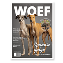 WOEF Magazine - Spaanse galgo September 2024