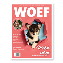 WOEF Magazine - Welsh corgi Oktober 2024