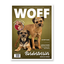 WOEF Magazine - Borderterriër December 2024