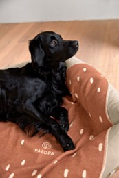 Palopa Ida Dog Blanket Dots Cinnamon 70 x 90 cm