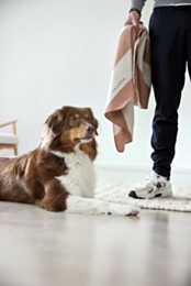 Palopa Ida Dog Blanket Stripes Maple 70 x 90 cm