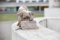 Palopa Tura Travel Bowl Taupe 1,5 l